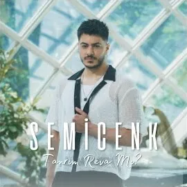 Semicenk