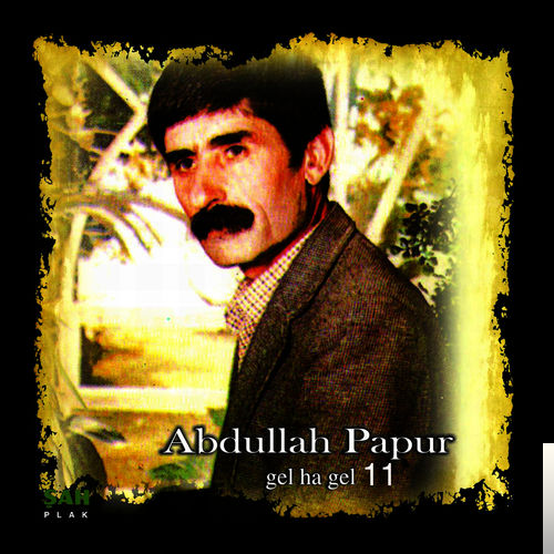 دانلود آهنگ Al Senin Olsun - Abdullah Papur از Abdullah Papur