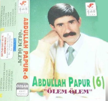 دانلود آهنگ Bir Sen İç Sevdiğim - Abdullah Papur از Abdullah Papur
