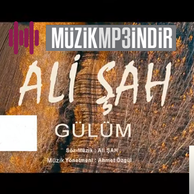 دانلود آهنگ Gülüm - Ali Şah از Ali Şah