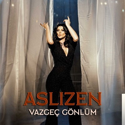 دانلود آهنگ Vazgeç Gönlüm - Aslızen از Aslızen