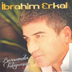 دانلود آهنگ Burnumda Tütüyorsun - İbrahim Erkal از İbrahim Erkal