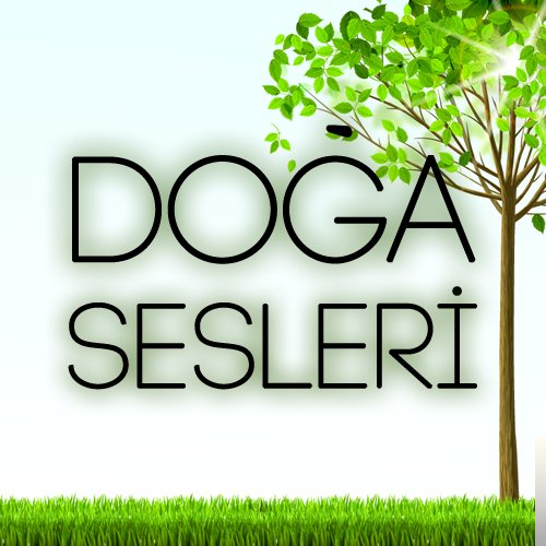 دانلود آهنگ Karışık Sesler از Gök Gürültülü Sağanak Yağmur Sesi