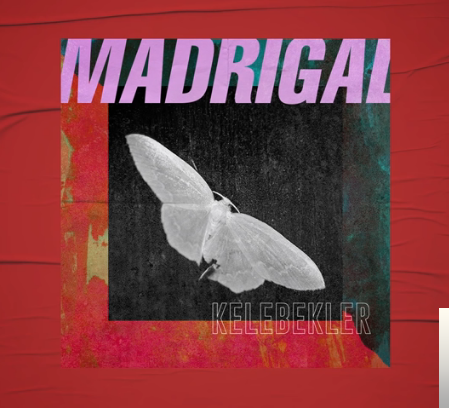 دانلود آهنگ Madrigal از Kelebekler
