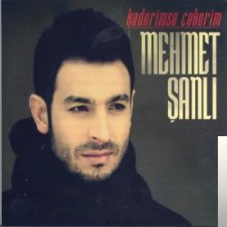 دانلود آهنگ Ay Le Gule - Mehmet Şanlı از Mehmet Şanlı