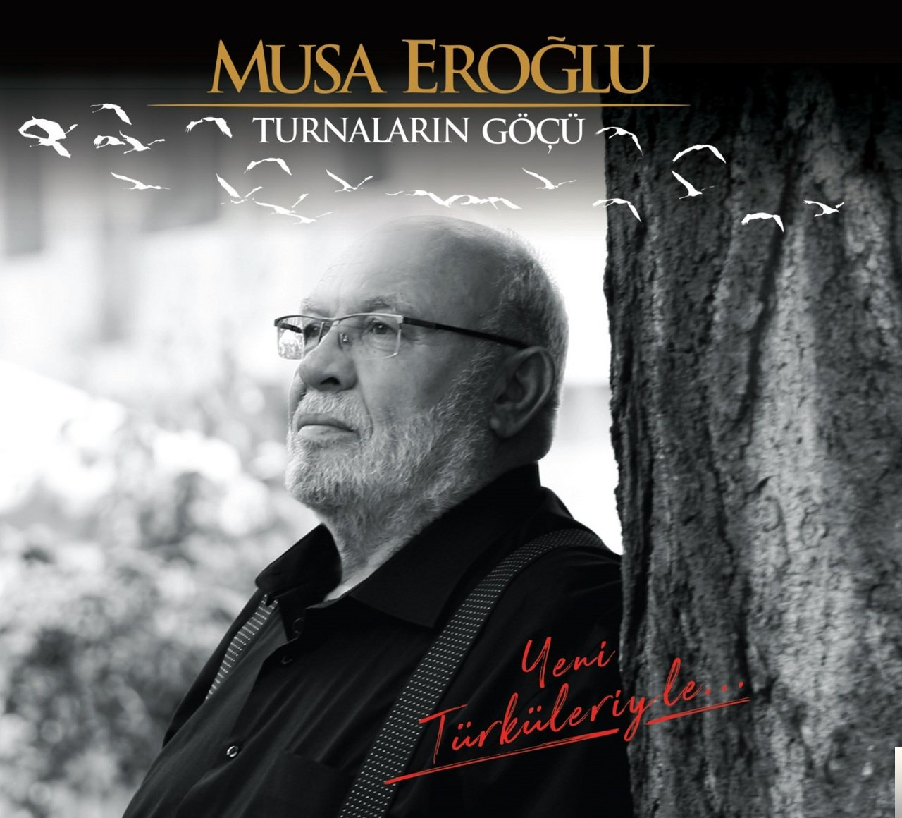 دانلود آهنگ Musa Eroğlu از Turnaların Göçü