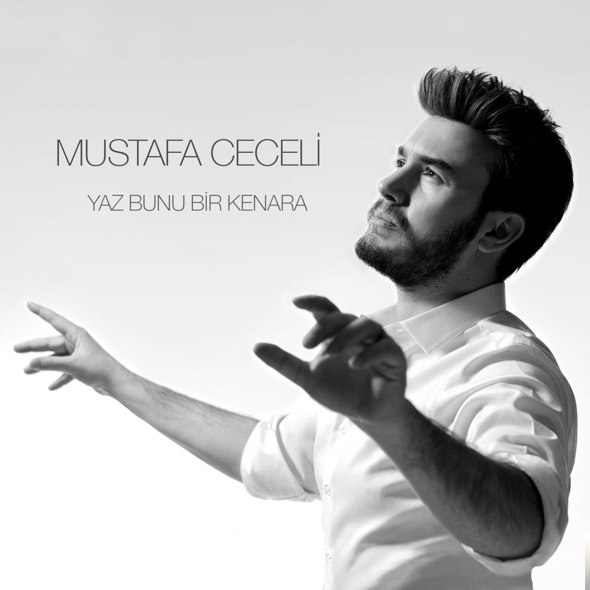 دانلود آهنگ Düşünme Hiç - Mustafa Ceceli از Mustafa Ceceli