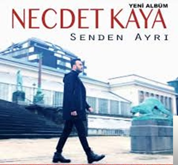 دانلود آهنگ Bahçalarda Mor Meni - Necdet Kaya از Necdet Kaya