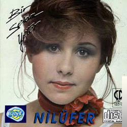 دانلود آهنگ Acıkmışım Sevgine - Nilüfer از Nilüfer