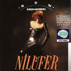 دانلود آهنگ Böyle Ayrılık Olmaz از Nilüfer