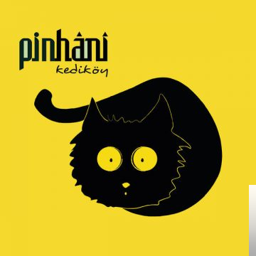دانلود آهنگ Pinhani از Beni Sen İnandır