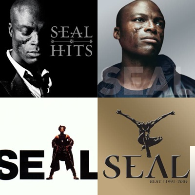 دانلود آهنگ A Change Is Gonna Come - Seal از Seal
