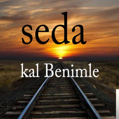دانلود آهنگ Bensiz Nasılsın - Seda از Seda