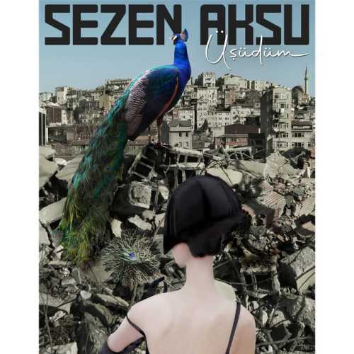 دانلود آهنگ Sezen Aksu از Üşüdüm