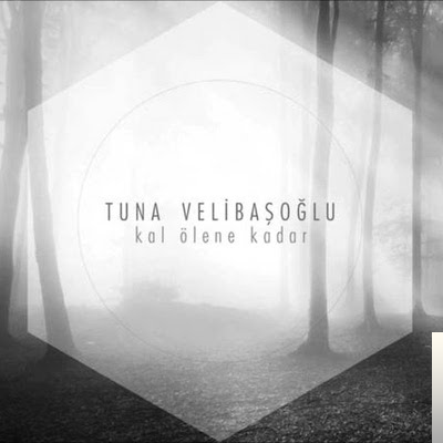 دانلود آهنگ Sen Kal Ölene Kadar از Tuna Velibaşoğlu