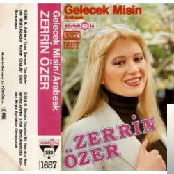 دانلود آهنگ Ağaçlar Kalem Olsa - Zerrin Özer از Zerrin Özer