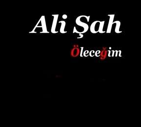 دانلود آهنگ Al Ömrümü - Ali Şah از Ali Şah