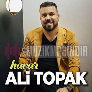 دانلود آهنگ Aman Havar - Ali Topak از Ali Topak