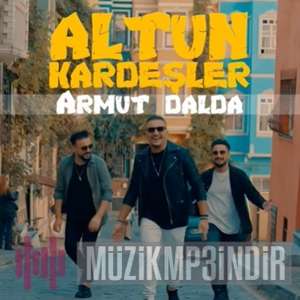 دانلود آهنگ Armut Dalda - Altun Kardeşler از Altun Kardeşler