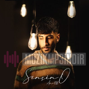 دانلود آهنگ Amo988 از Elini Ver
