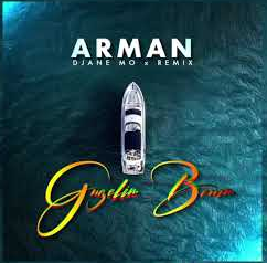 دانلود آهنگ Aber Für Was - Arman از Arman