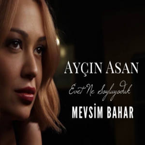 دانلود آهنگ Sev Yeter از Ayçin Asan