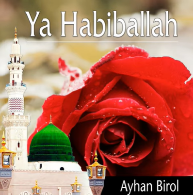 دانلود آهنگ Ah Medinem - Ayhan Birol از Ayhan Birol