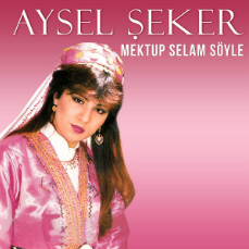 دانلود آهنگ Bağışla Sevdiğim - Aysel Şeker از Aysel Şeker