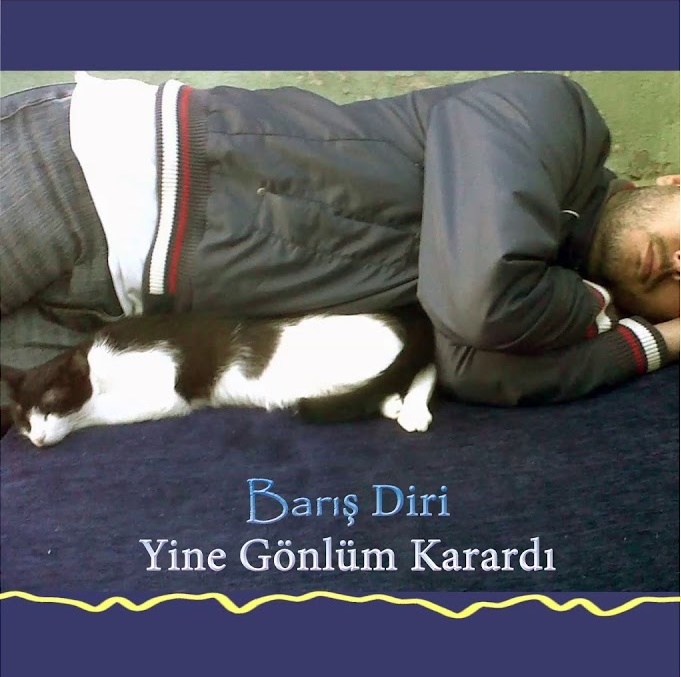 دانلود آهنگ Barış Diri از Yine Gönlüm Karardı