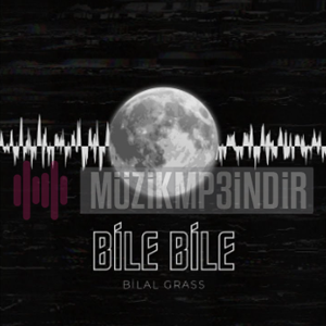 دانلود آهنگ Bile Bile - Bilal Grass از Bilal Grass