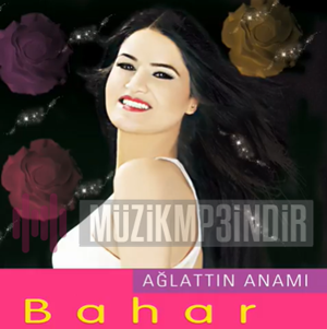 دانلود آهنگ 06 Plakası - Bizim Bahar از Bizim Bahar