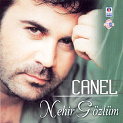 دانلود آهنگ Bitermi Bilmem Hasretin Birgün - Canel Arsel از Canel Arsel