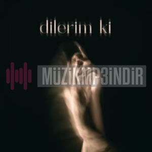 دانلود آهنگ Dilerim ki - Dolu Kadehi Ters Tut از Dolu Kadehi Ters Tut