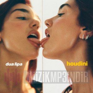 دانلود آهنگ Dua Lipa از Houdini