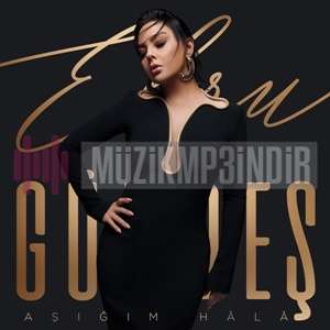 دانلود آهنگ Aşığım Hala - Ebru Gündeş از Ebru Gündeş