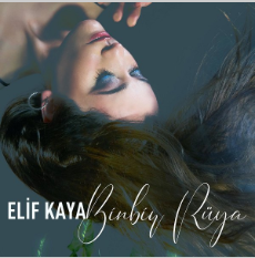 دانلود آهنگ Binbir Rüya - Elif Kaya از Elif Kaya