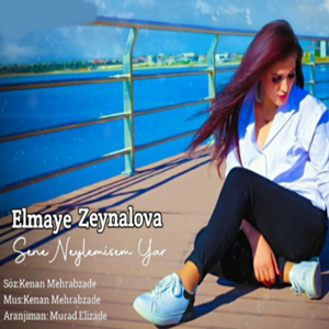 دانلود آهنگ Butün Aşklarıma - Elmaye Zeynalova از Elmaye Zeynalova