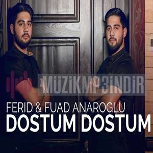 دانلود آهنگ Bilmedi (feat Fuad Anaroglu) - Ferid از Ferid