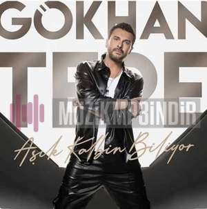 دانلود آهنگ Gökhan Tepe از Aşık Kalbin Biliyor