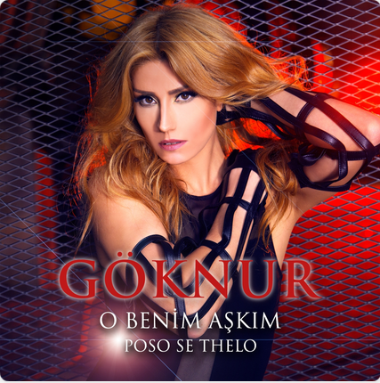 دانلود آهنگ Ayrılık - Göknur از Göknur