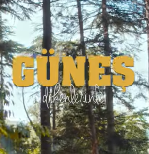 دانلود آهنگ Dikenlerinle - Güneş از Güneş