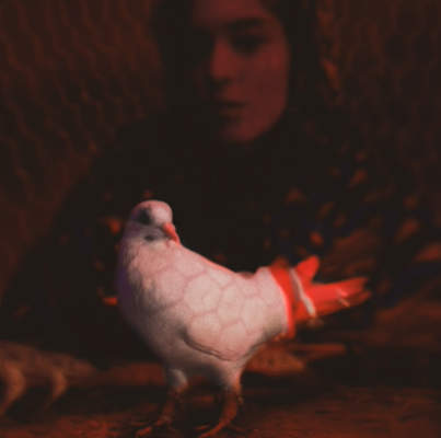 دانلود آهنگ Zor - Lil Zey از Lil Zey
