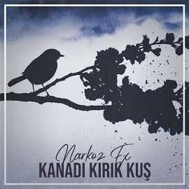 دانلود آهنگ Narkoz Ex از Şart Olsun