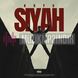 دانلود آهنگ No.1 از Koyu Siyah (feat Doruk Ereşter)