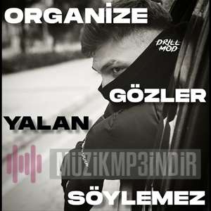 دانلود آهنگ 1312 - Organize از Organize
