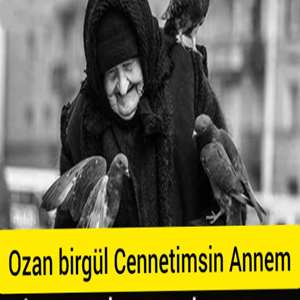 دانلود آهنگ Arıyorum Muhammedi - Ozan Birgül از Ozan Birgül