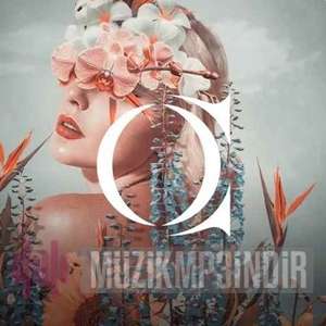 دانلود آهنگ Bu Gece (Remix) - Ozan Çolakoğlu از Ozan Çolakoğlu
