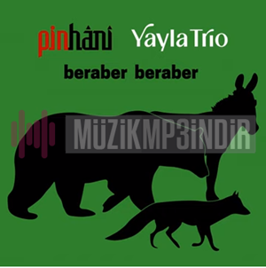دانلود آهنگ Bilir O Beni (Speed Up) - Pinhani از Pinhani