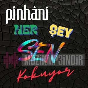 دانلود آهنگ Her Şey Sen Kokuyor - Pinhani از Pinhani