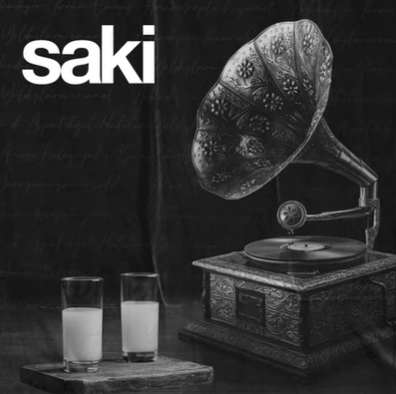 دانلود آهنگ Adını Sen Koy - Şaki از Şaki